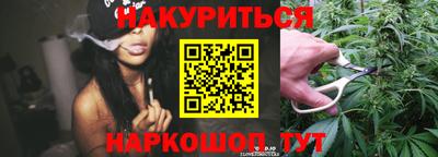 шишки Новокубанск