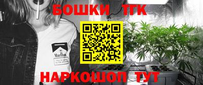шишки Новокубанск