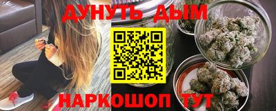 мдпв Новозыбков